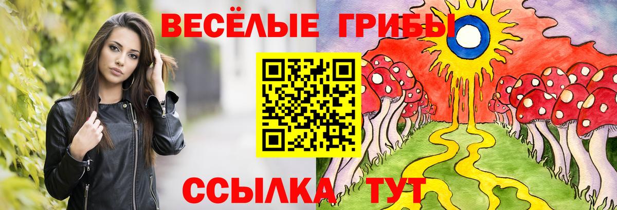 Псилоцибиновые грибы мухоморы Вольск